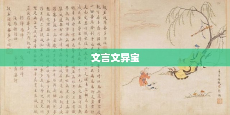 文言文异宝