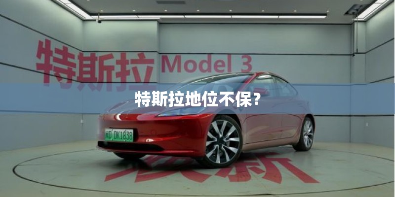 特斯拉地位不保？