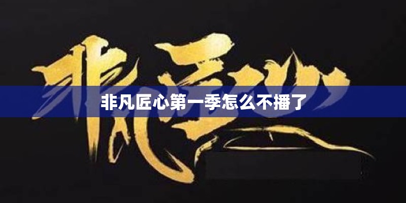 非凡匠心第一季怎么不播了