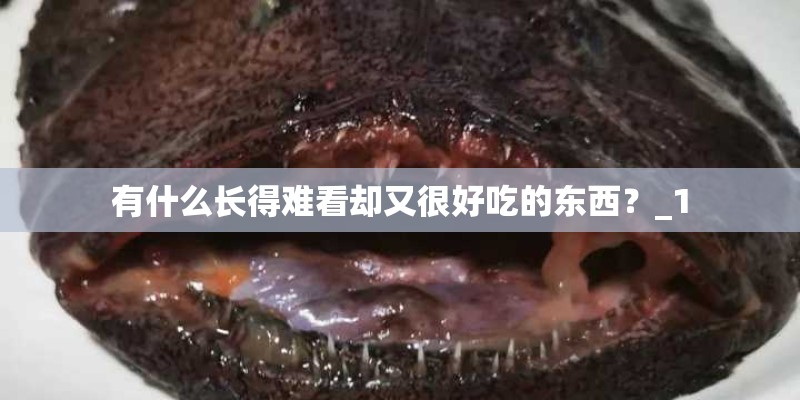有什么长得难看却又很好吃的东西？_1