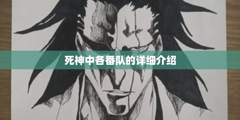 死神中各番队的详细介绍