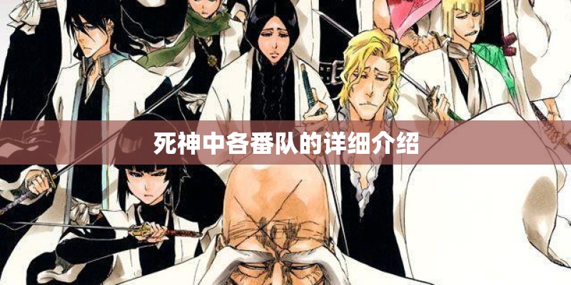 死神中各番队的详细介绍