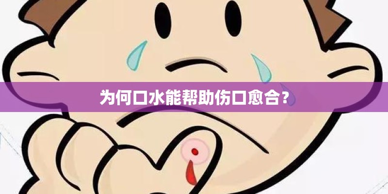 为何口水能帮助伤口愈合? 为何口水能帮助伤口愈合?
