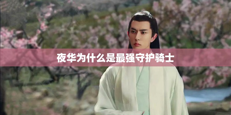 夜华为什么是最强守护骑士 夜华为什么是最强守护骑士