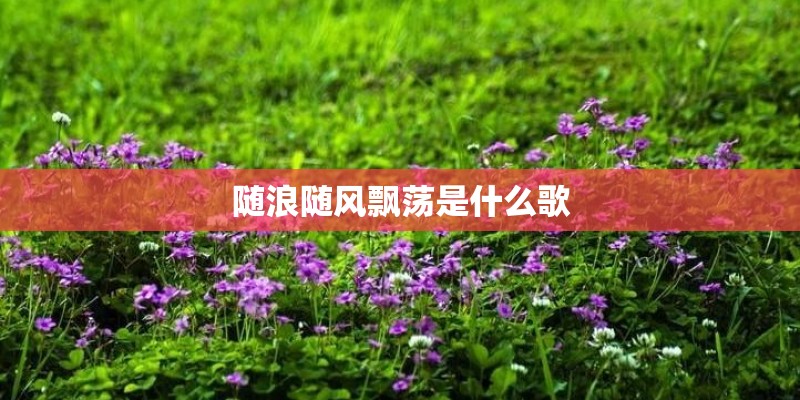 随浪随风飘荡是什么歌