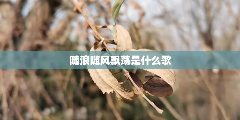 随浪随风飘荡是什么歌 随浪随风飘荡是什么歌