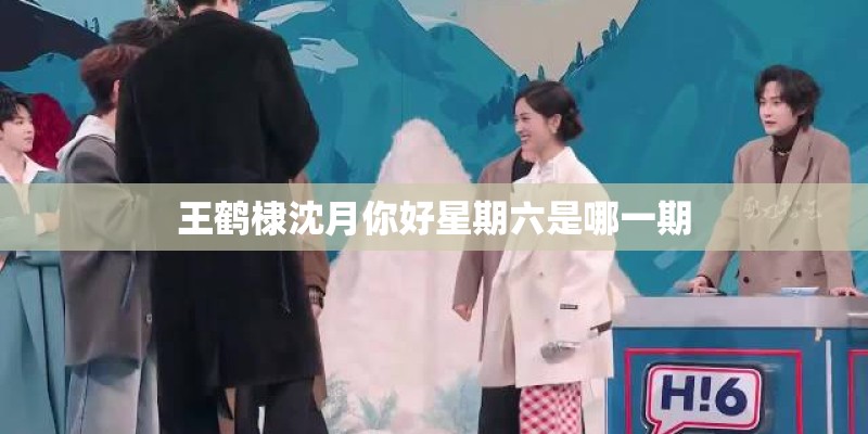 王鹤棣沈月你好星期六是哪一期