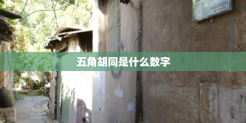 五角胡同是什么数字 五角胡同是什么数字