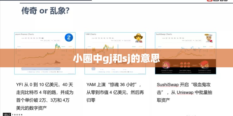 小圈中gj和sj的意思