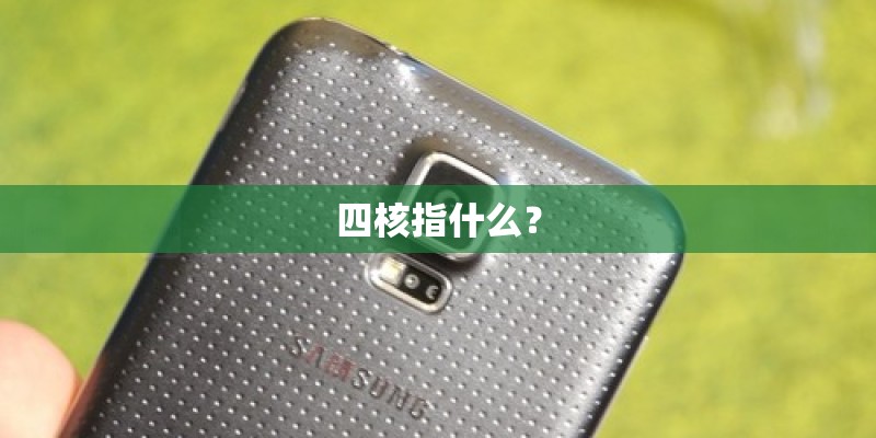 四核指什么? 四核指什么?
