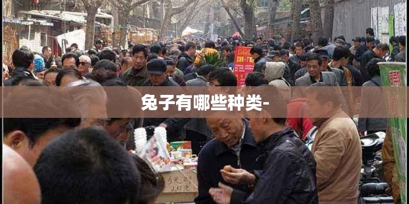 兔子有哪些种类-
