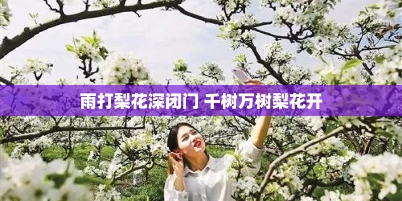 雨打梨花深闭门 千树万树梨花开 雨打梨花深闭门 千树万树梨花开