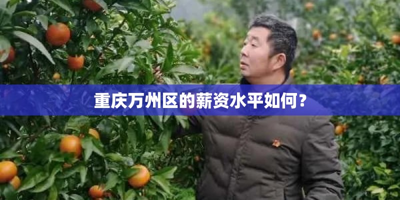 重庆万州区的薪资水平如何？