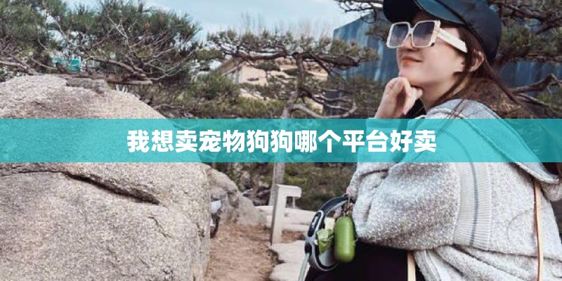 我想卖宠物狗狗哪个平台好卖