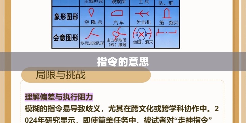 指令的意思 指令的意思