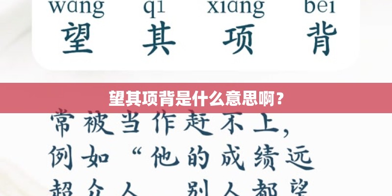 望其项背是什么意思啊？