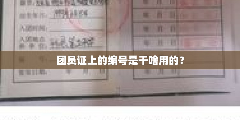 团员证上的编号是干啥用的？