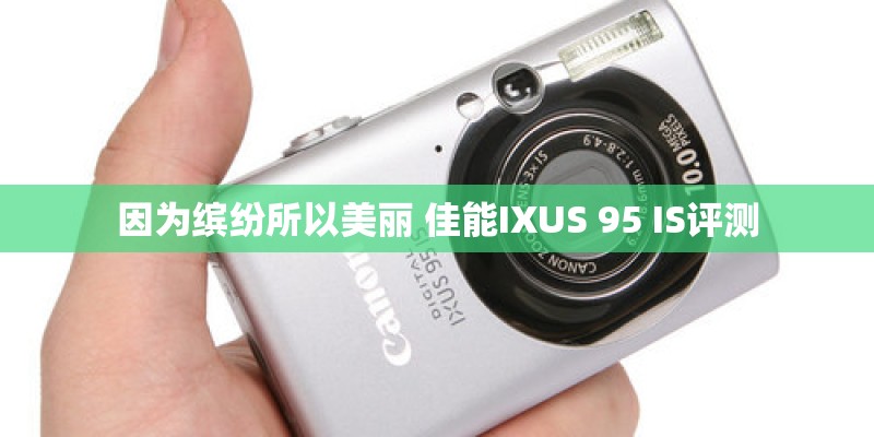 因为缤纷所以美丽 佳能IXUS 95 IS评测