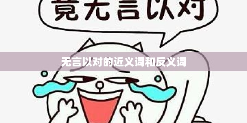 无言以对的近义词和反义词 无言以对的近义词和反义词