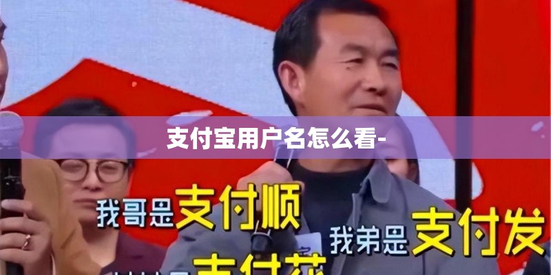 支付宝用户名怎么看- 支付宝用户名怎么看-
