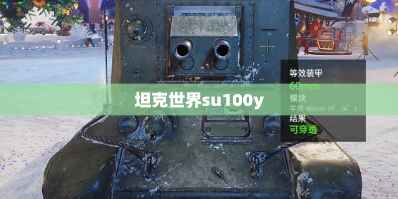 坦克世界su100y