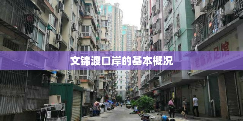 文锦渡口岸的基本概况