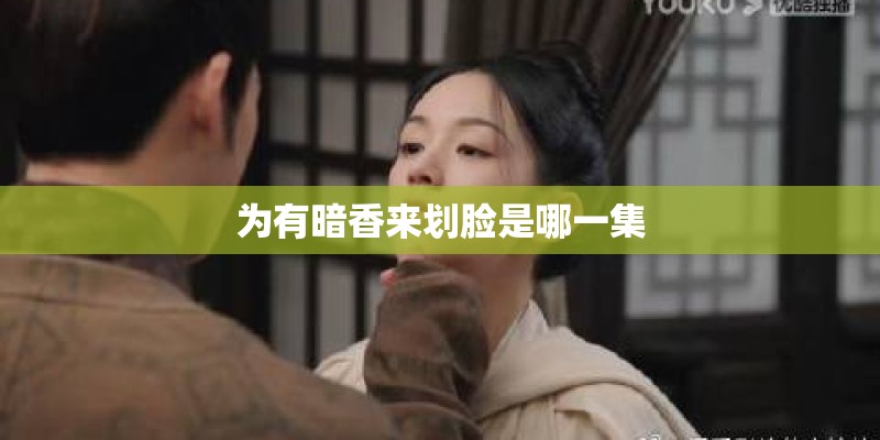 为有暗香来划脸是哪一集