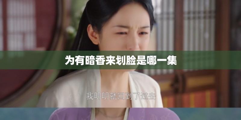 为有暗香来划脸是哪一集