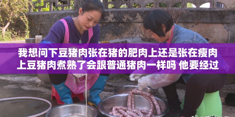 我想问下豆猪肉张在猪的肥肉上还是张在瘦肉上豆猪肉煮熟了会跟普通猪肉一样吗 他要经过多少温度会死掉