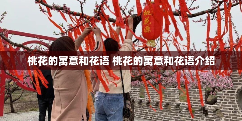 桃花的寓意和花语 桃花的寓意和花语介绍 桃花的寓意和花语 桃花的寓意和花语介绍