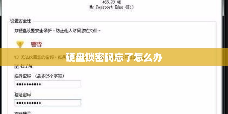 硬盘锁密码忘了怎么办