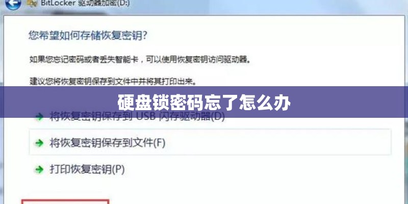 硬盘锁密码忘了怎么办