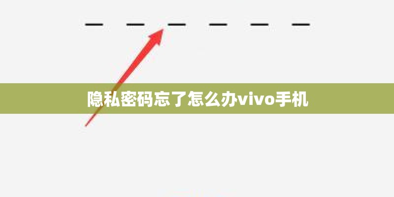 隐私密码忘了怎么办vivo手机