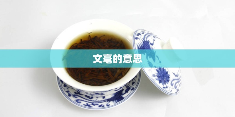 文毫的意思