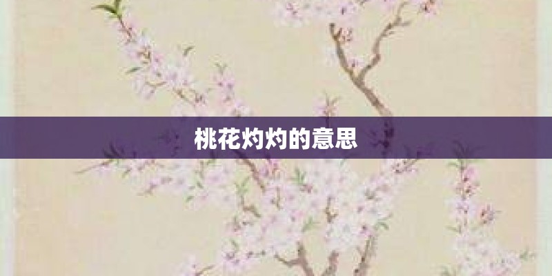 桃花灼灼的意思
