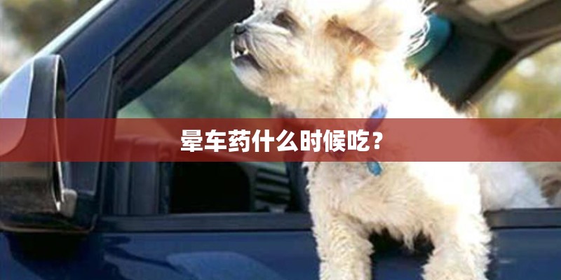 晕车药什么时候吃？