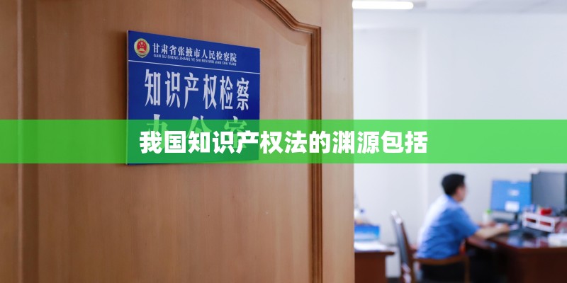 我国知识产权法的渊源包括