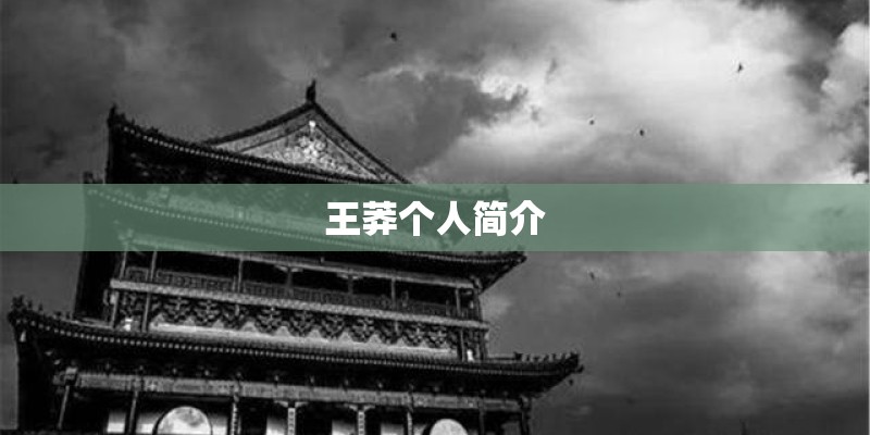 王莽个人简介