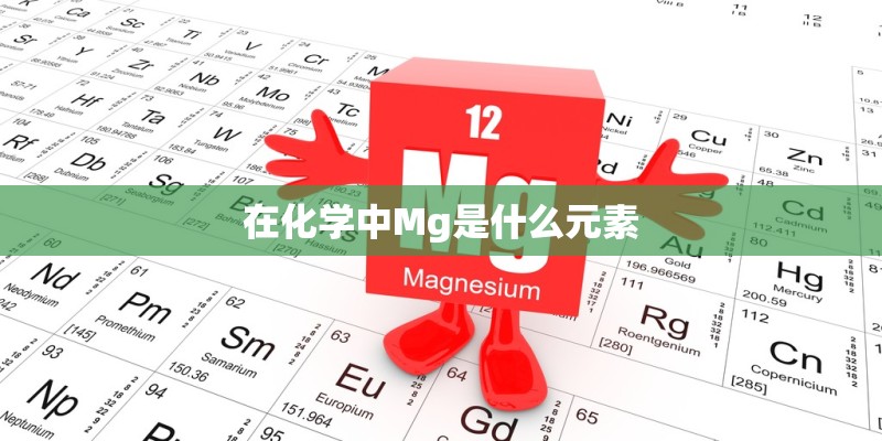 在化学中Mg是什么元素