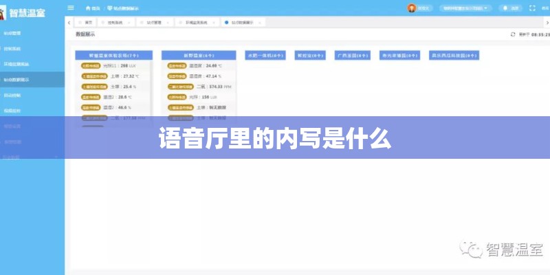 语音厅里的内写是什么