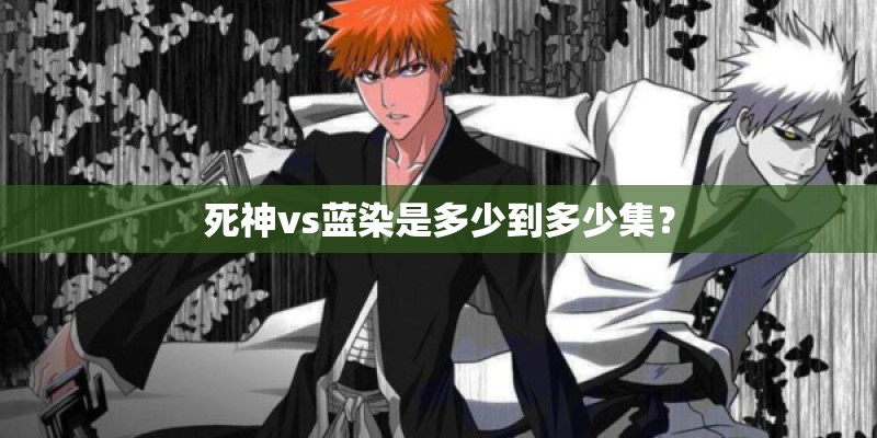 死神vs蓝染是多少到多少集？
