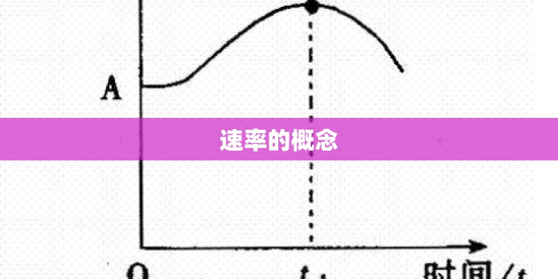 速率的概念