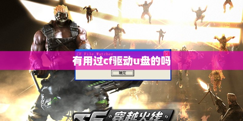 有用过cf驱动u盘的吗