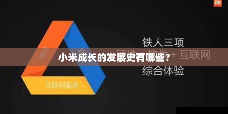小米成长的发展史有哪些？