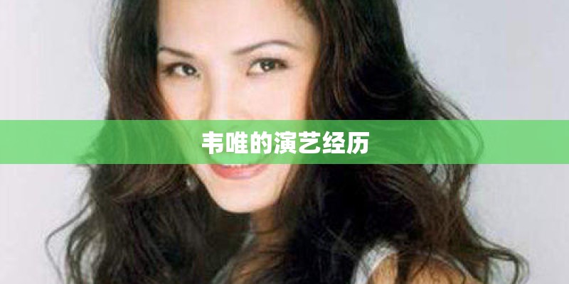 韦唯的演艺经历
