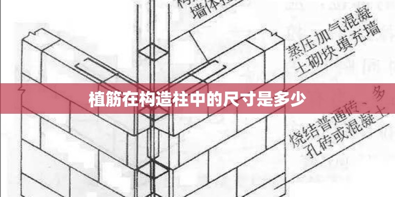 植筋在构造柱中的尺寸是多少 植筋在构造柱中的尺寸是多少