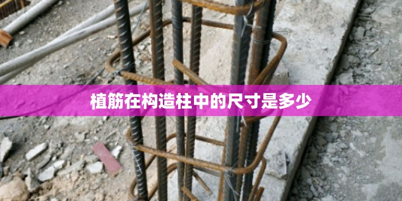 植筋在构造柱中的尺寸是多少 植筋在构造柱中的尺寸是多少
