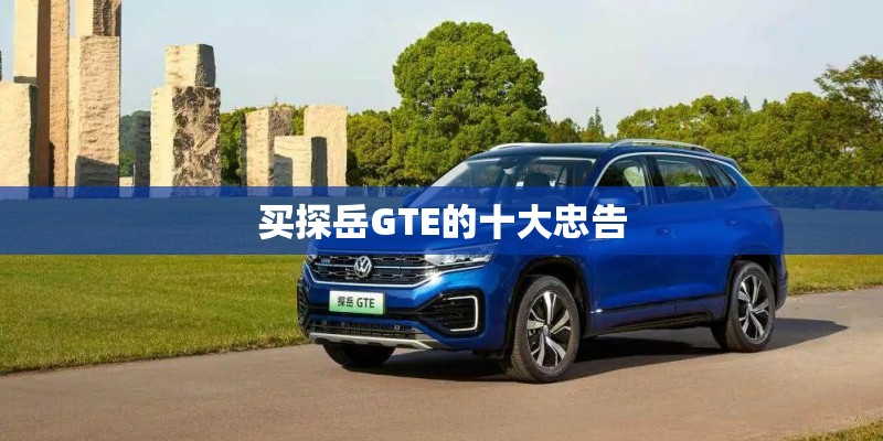 买探岳GTE的十大忠告