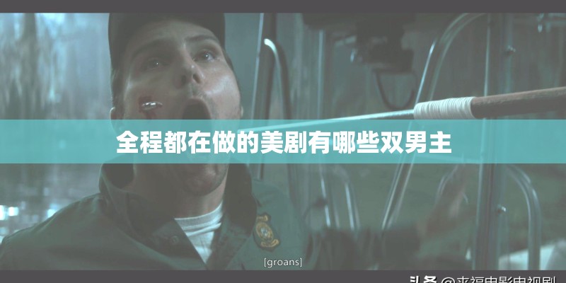 全程都在做的美剧有哪些双男主