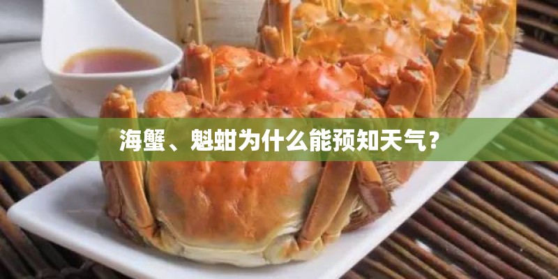 海蟹、魁蚶为什么能预知天气？